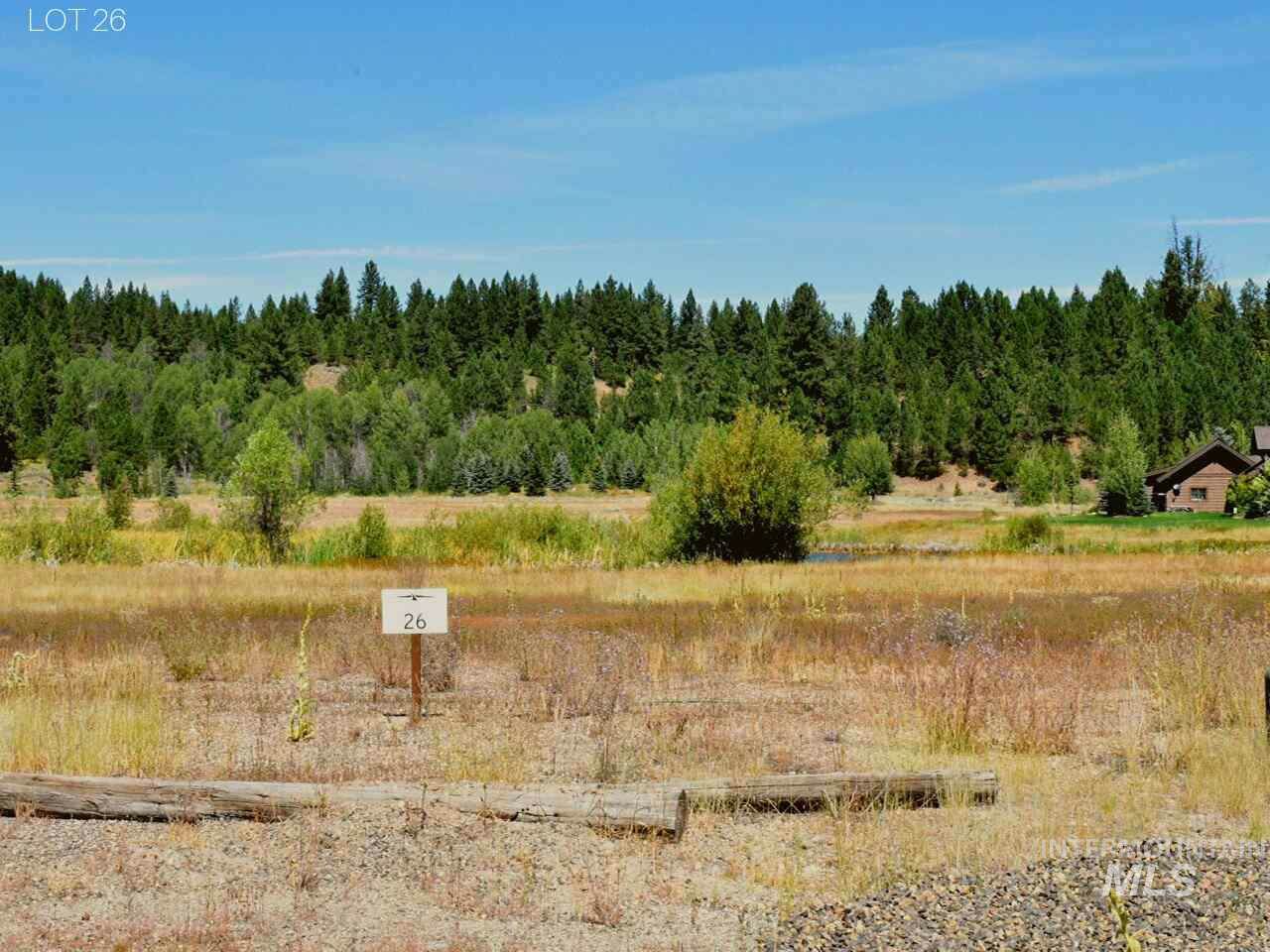 10 Cranesbill Cir - Photo 1