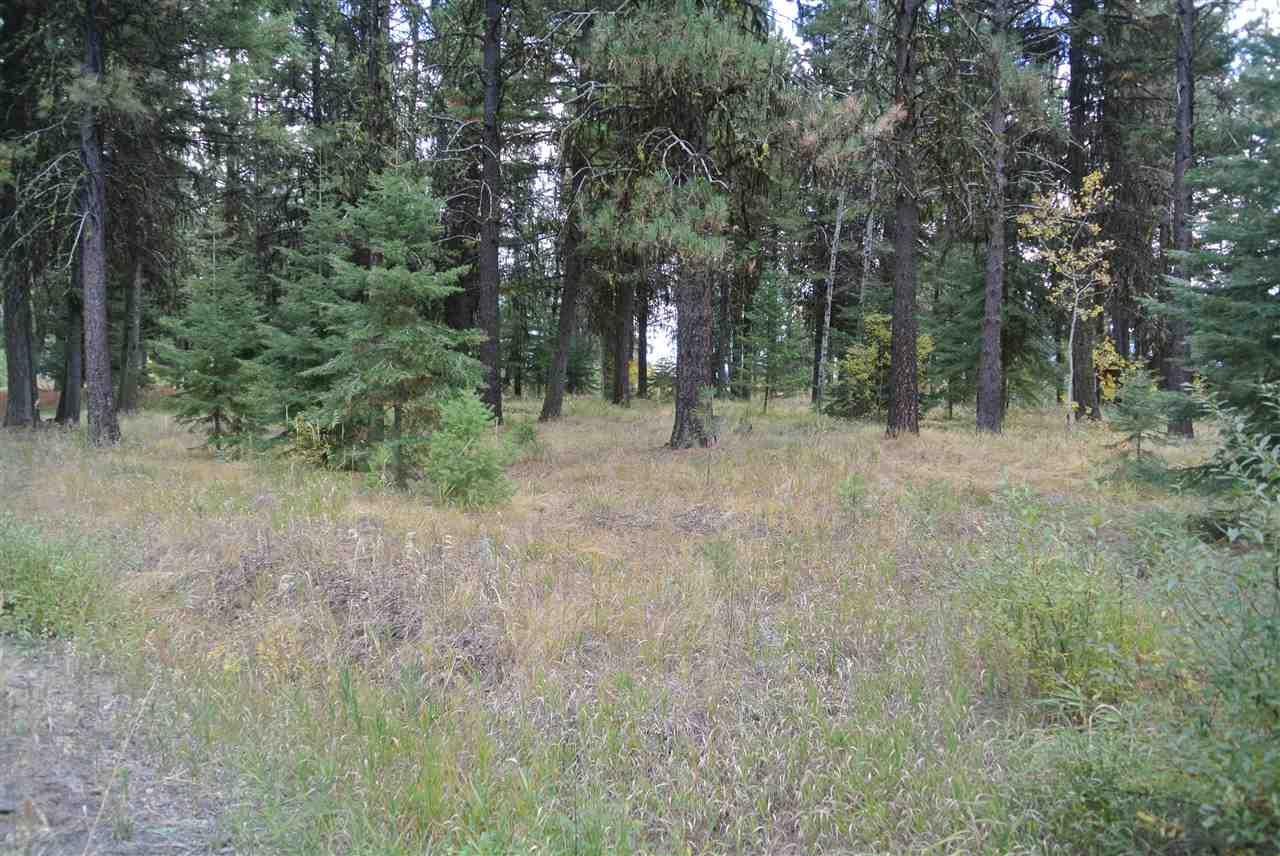 Lot 6 Blackhawk Lake Rd - Photo 1