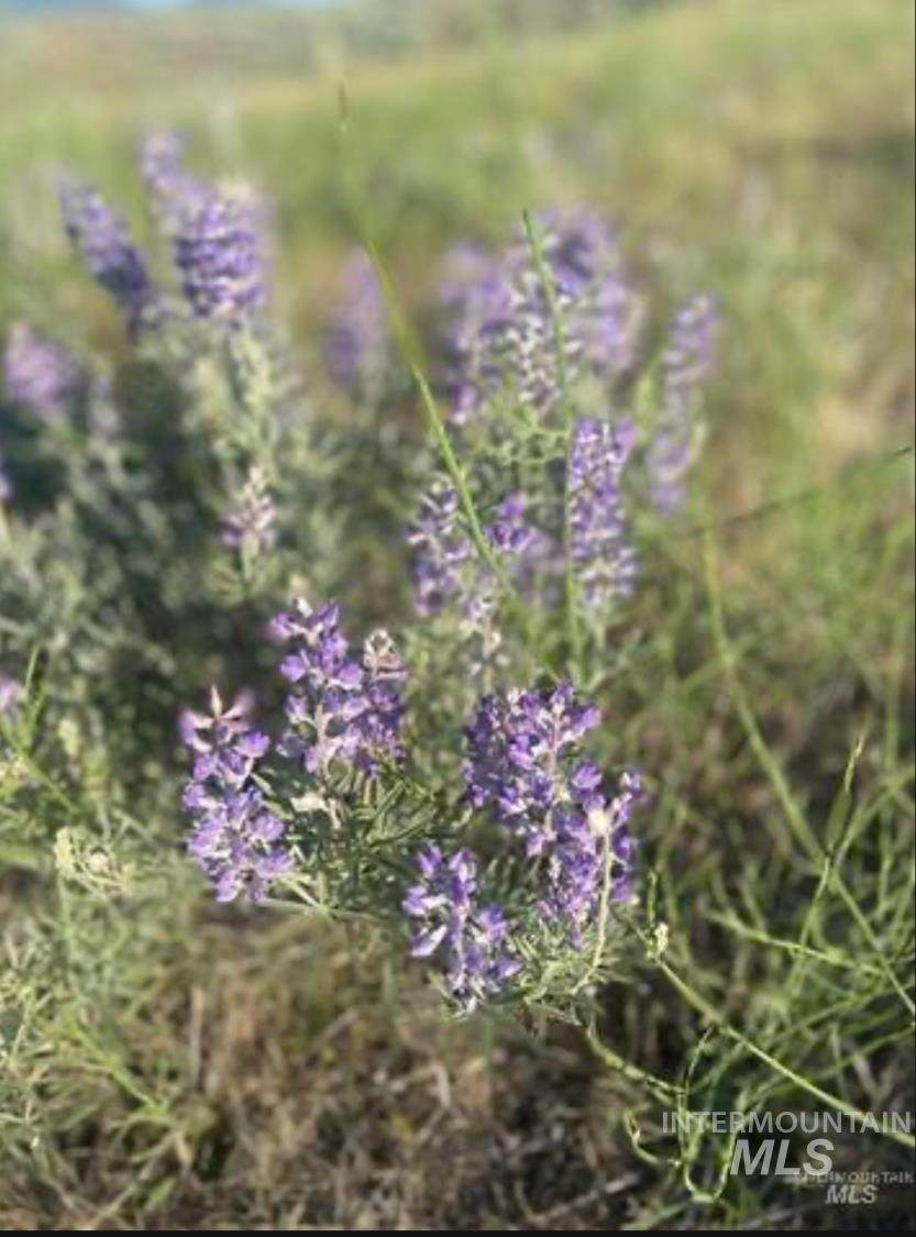 https://bt-photos.global.ssl.fastly.net/imls/orig_boomver_6_98941935-2.jpg