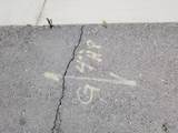 0 Nw Cor Ave 54 & Polk St - Photo 26