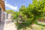 535 Willard Ave - Photo 44