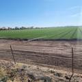823 Aten Rd - Photo 2