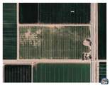 3125 Mcconnell Rd - Photo 1