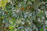 7704 Blair Rd - Photo 35