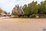 1922 Paula Ln - Photo 43