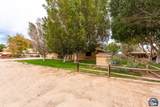 1922 Paula Ln - Photo 45