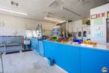 113 Blair Ave - Photo 14