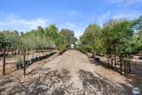 1249 Hwy 98 Rd - Photo 54