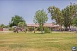 556 Apolonia Dr - Photo 7