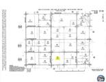 0 Spruce Main And New Spruce 293.58Ac - Photo 4