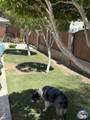 392 Willow Bend Dr - Photo 24