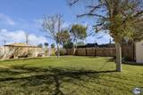 730 Walnut Ave - Photo 17