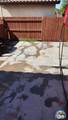1179 Cabana St - Photo 47