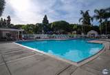 7067 Camino Revueltos - Photo 20