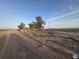 2020 De Paoli Rd - Photo 2