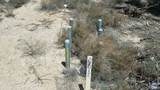 3010 Evan Hewes Hwy - Photo 5