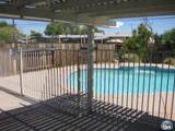 1661 Yucca Dr - Photo 13