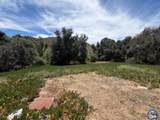 3505 Alpine 5 Blvd - Photo 15