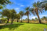 1397 Andre Rd - Photo 49