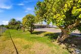 1397 Andre Rd - Photo 52