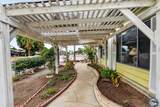 43790 Rassle Dr - Photo 14