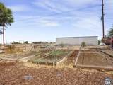 1774 Citrus Ln - Photo 43