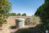 2465 Meloland Rd - Photo 9