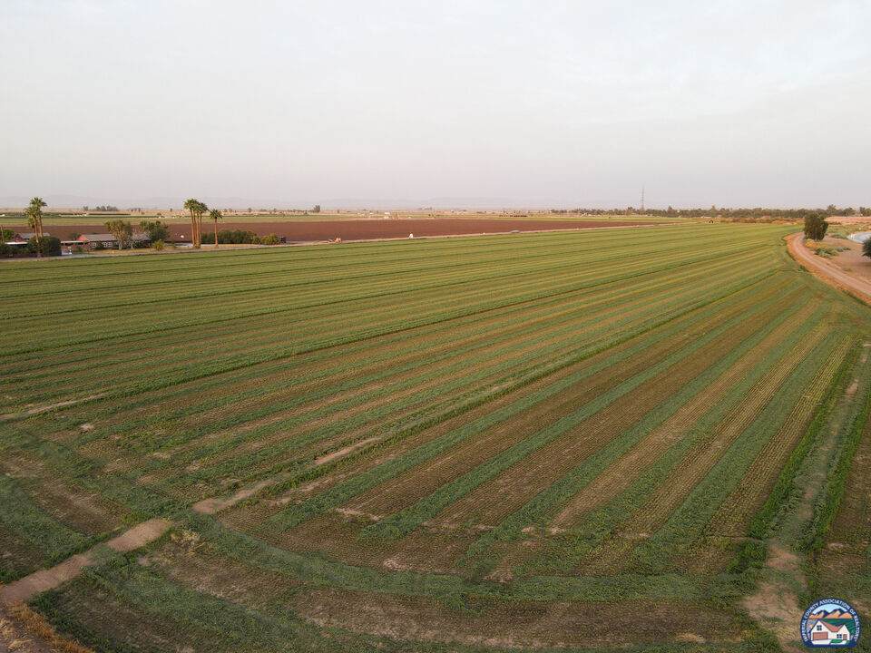 0 Hovley Rd & Hwy 111 - Photo 1