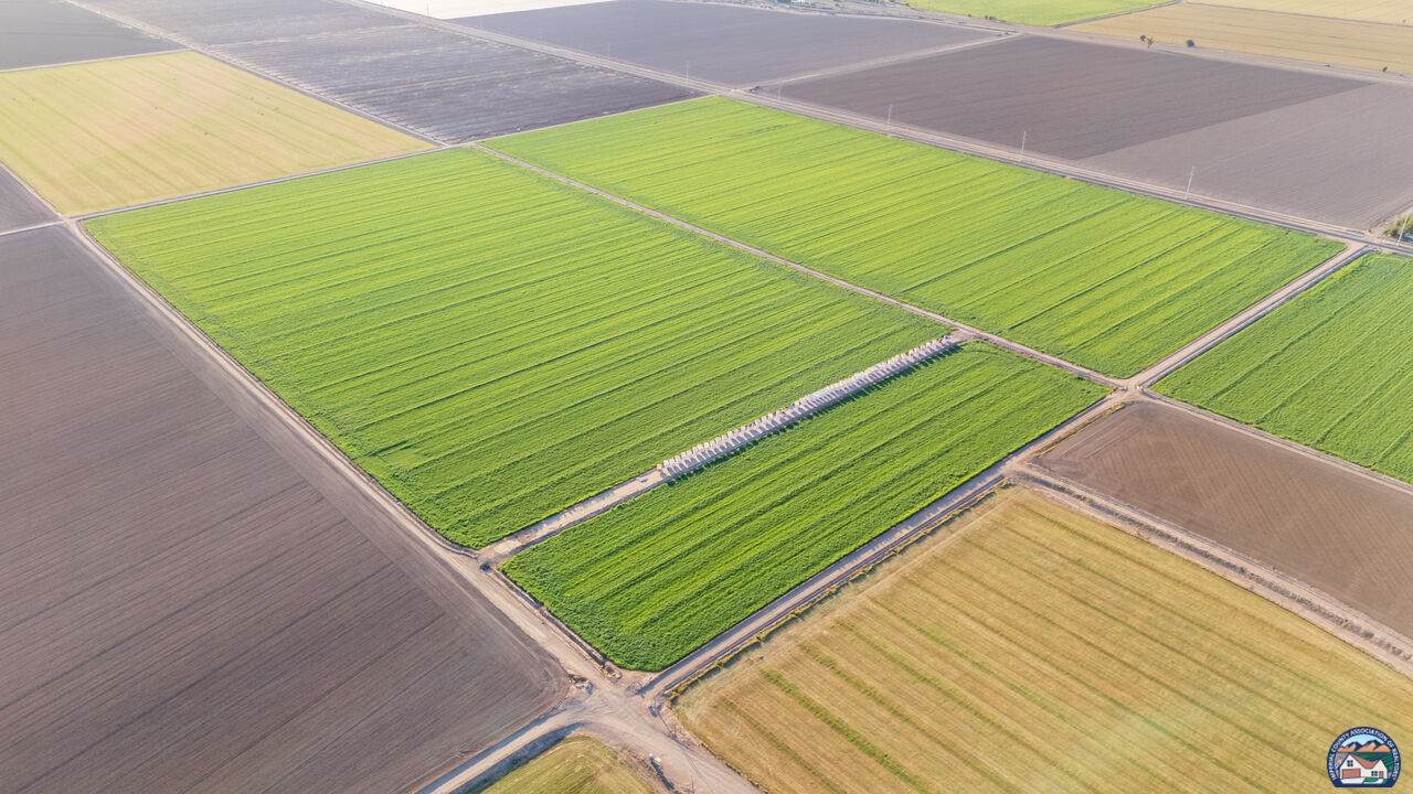 0 W. Kramar Rd - Photo 1