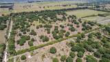 7350 73rd Street - Photo 4