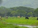 160 Rio Seco, Guanacaste, Costa Rica - Photo 10