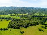 160 Rio Seco, Guanacaste, Costa Rica - Photo 13