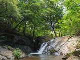 160 Rio Seco, Guanacaste, Costa Rica - Photo 16