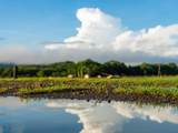 160 Rio Seco, Guanacaste, Costa Rica - Photo 25