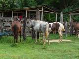 160 Rio Seco, Guanacaste, Costa Rica - Photo 29