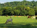 160 Rio Seco, Guanacaste, Costa Rica - Photo 6