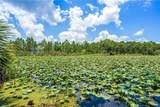 10255 99th Way - Photo 10