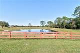 13720 101st Street - Photo 24