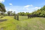 12585 89th Street - Photo 31