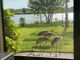 1728 Berkshire Circle - Photo 24