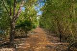 740 Lake Orchid Circle - Photo 14