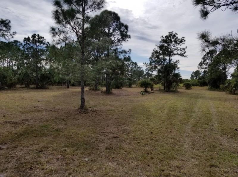 15350 93rd Street - Photo 1