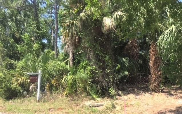 1150 Sunday Court - Photo 1
