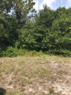 9071 101st Avenue - Photo 1