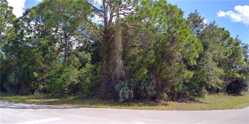 10290 79th Street - Photo 1