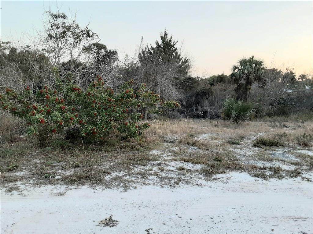 000 Balsa Road - Photo 1