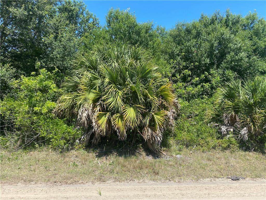 8366 103rd Avenue - Photo 1