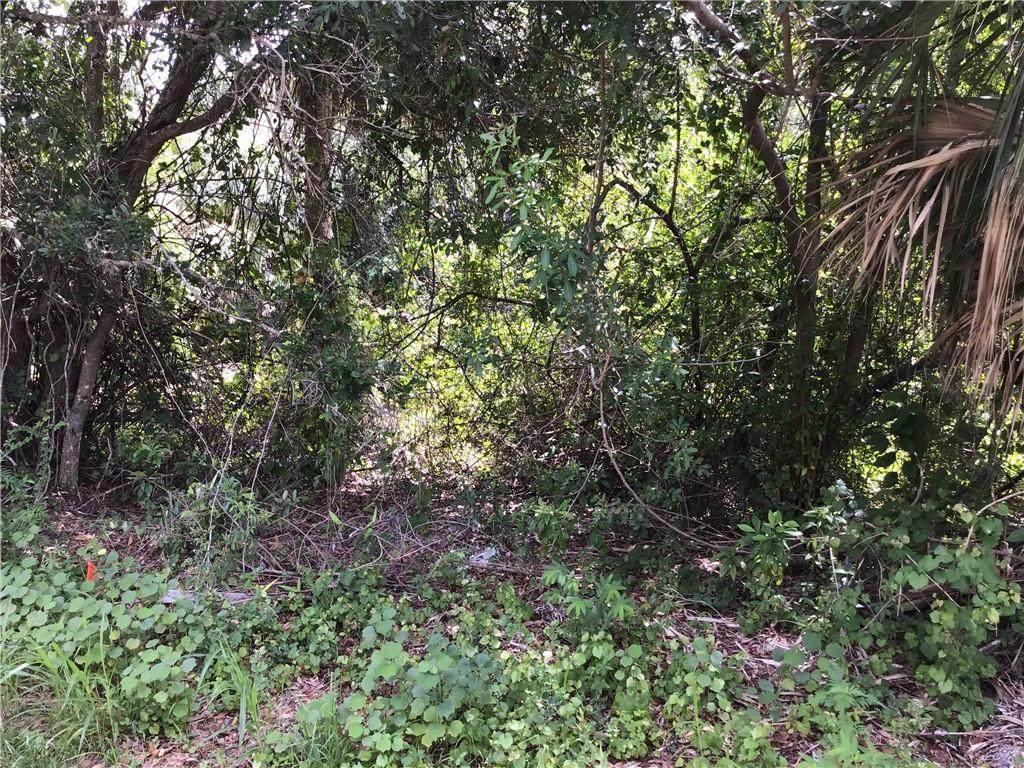 1798 Lagoon Lane - Photo 1