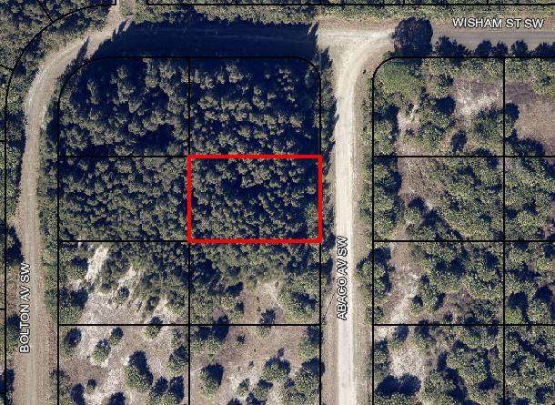2312 Abaco Avenue - Photo 1