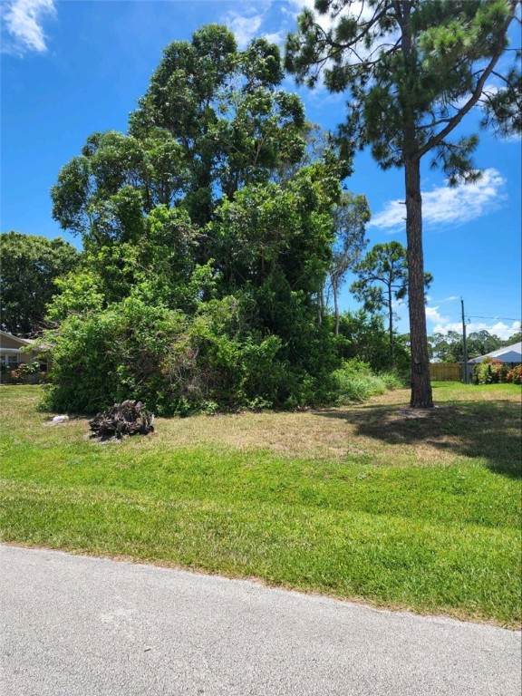 358 Benschop Street - Photo 1